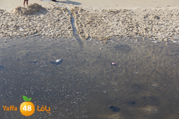 nakhom goldman majary (4).JPG